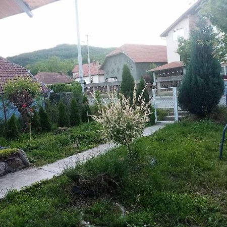 Apartmani Lina ريبارسكا بانيا المظهر الخارجي الصورة